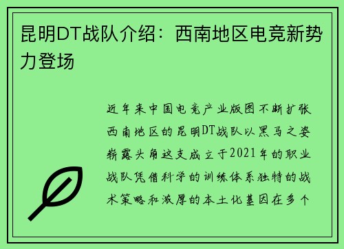昆明DT战队介绍：西南地区电竞新势力登场